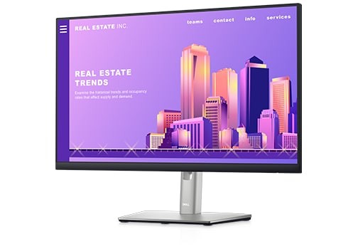 24" Dell P2422Hb Computer Monitor (1920 x 1080) 60Hz