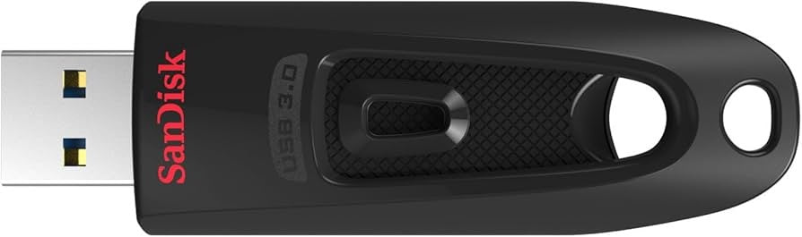 256GB USB 3.0 Flash Drive SanDisk Ultra