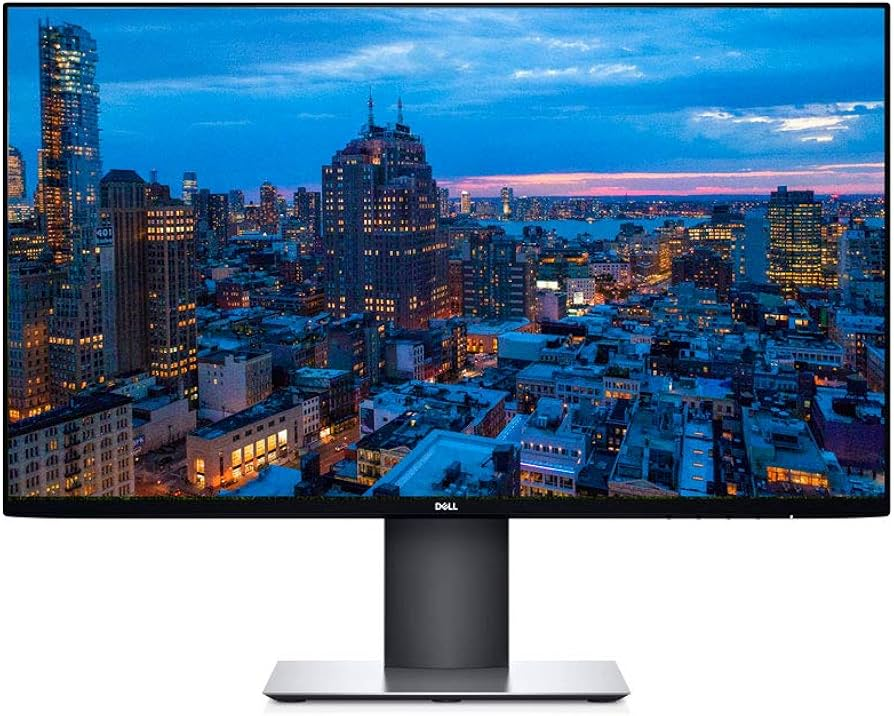 24" Dell P2419H LED Computer Monitor (1920 x 1080) 60Hz